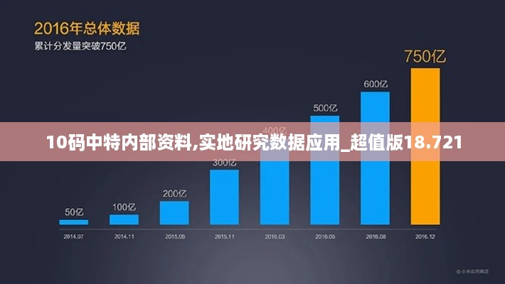 10码中特内部资料,实地研究数据应用_超值版18.721