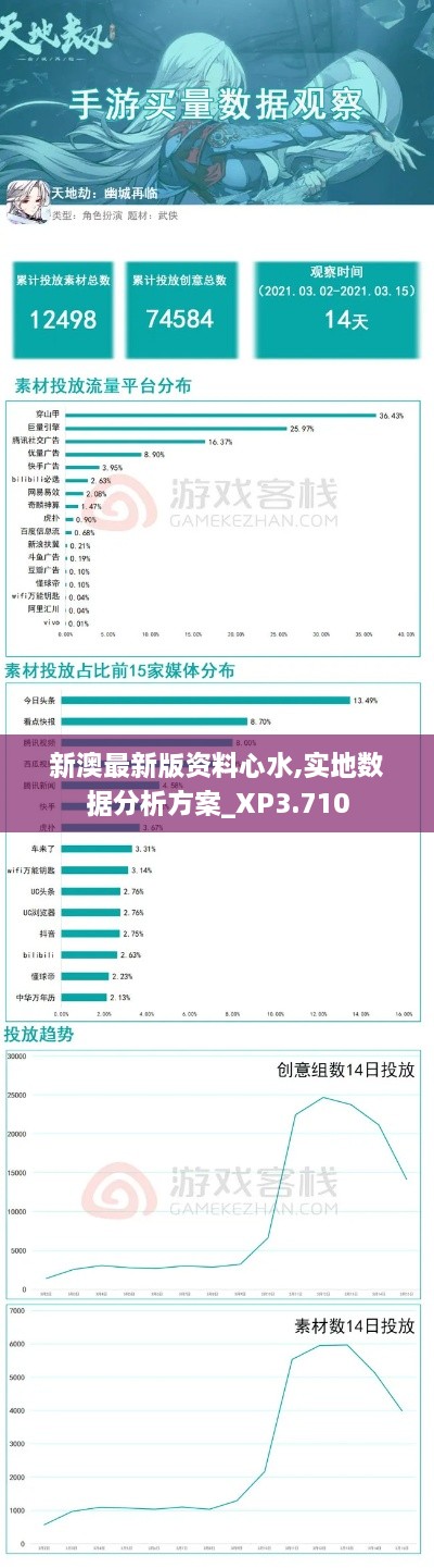 新澳最新版资料心水,实地数据分析方案_XP3.710