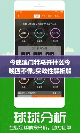 今晚澳门特马开什么今晚四不像,实效性解析解读策略_Surface2.711