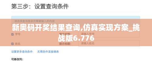新奥码开奖结果查询,仿真实现方案_挑战版6.776