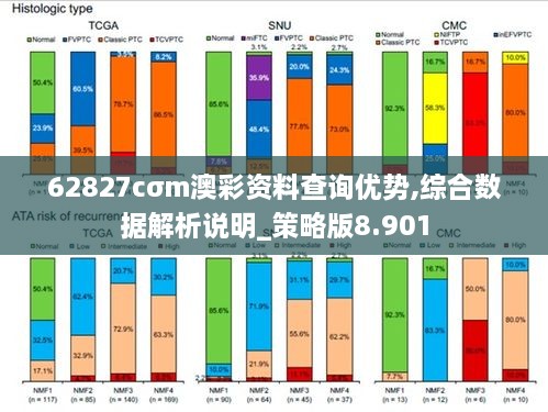 62827cσm澳彩资料查询优势,综合数据解析说明_策略版8.901