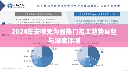 2024年安徽无为县招工趋势展望与深度评测报告