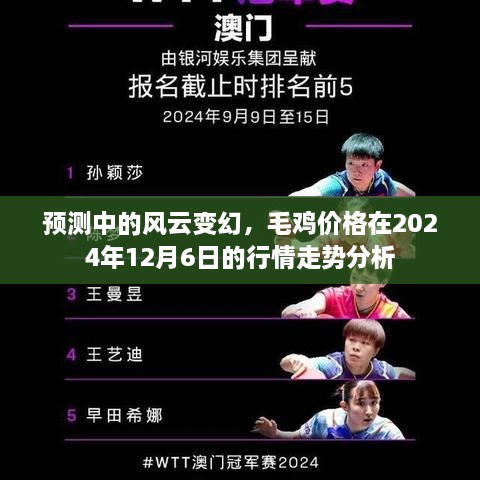 毛鸡价格预测，风云变幻中的行情走势分析（至2024年12月6日）