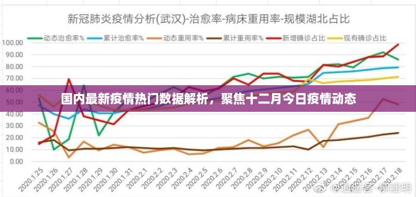 国内最新疫情数据解析，聚焦十二月今日动态