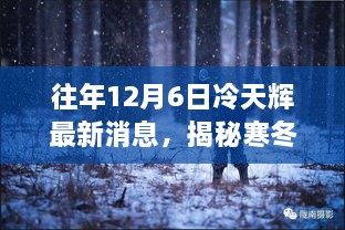 揭秘往年12月6日冷天辉下的暖心瞬间