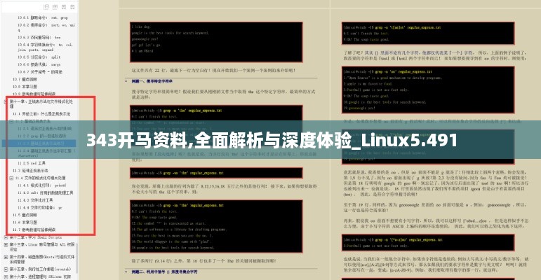 343开马资料,全面解析与深度体验_Linux5.491