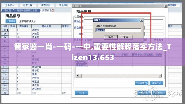 管家婆一肖-一码-一中,重要性解释落实方法_Tizen13.653