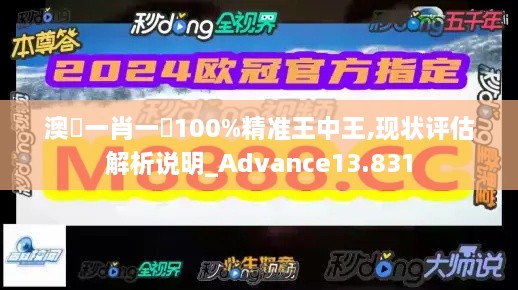 澳門一肖一碼100%精准王中王,现状评估解析说明_Advance13.831