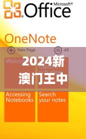 2024新澳门王中王正版,深度解析数据应用_Windows2.697