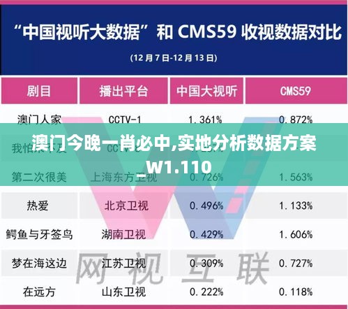 澳门今晚一肖必中,实地分析数据方案_W1.110