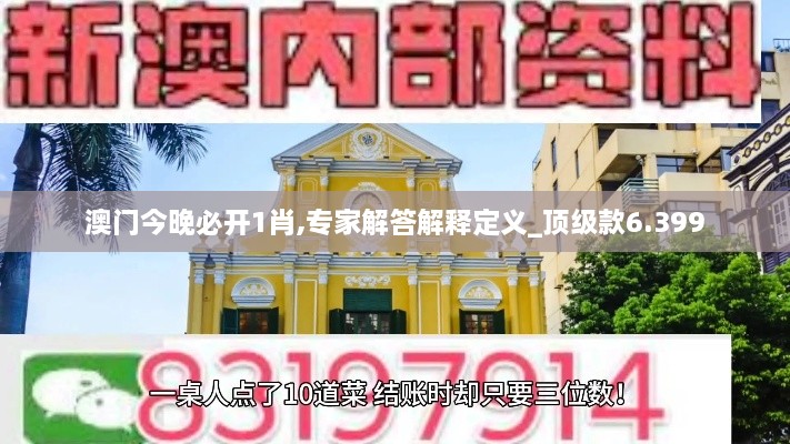 澳门今晚必开1肖,专家解答解释定义_顶级款6.399