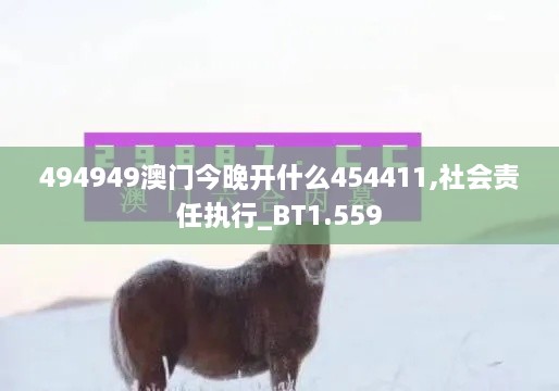 494949澳门今晚开什么454411,社会责任执行_BT1.559