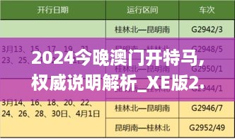 2024今晚澳门开特马,权威说明解析_XE版2.360