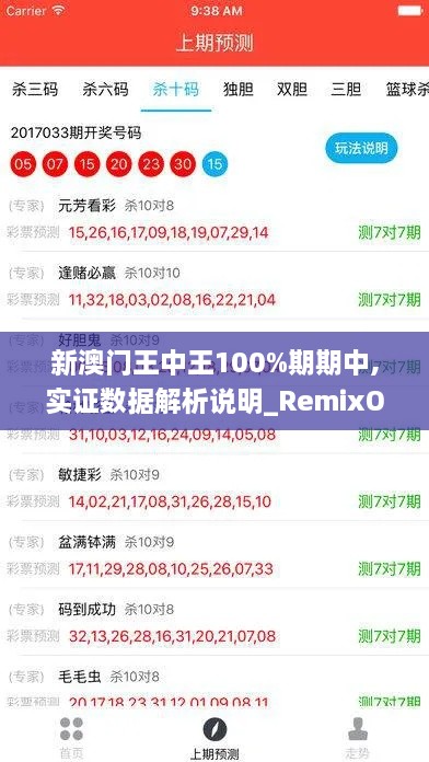 新澳门王中王100%期期中,实证数据解析说明_RemixOS5.387