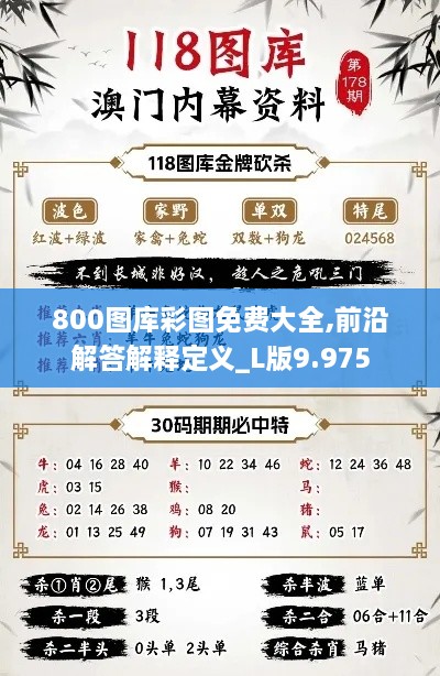 800图库彩图免费大全,前沿解答解释定义_L版9.975