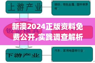 新澳2024正版资料免费公开,实践调查解析说明_N版7.258