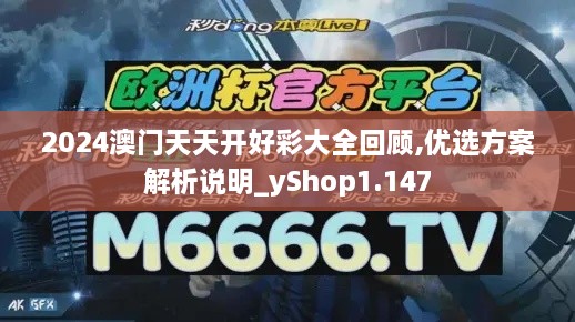 2024澳门天天开好彩大全回顾,优选方案解析说明_yShop1.147