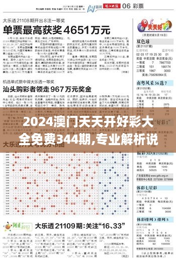 2024澳门天天开好彩大全免费344期,专业解析说明_视频版3.899