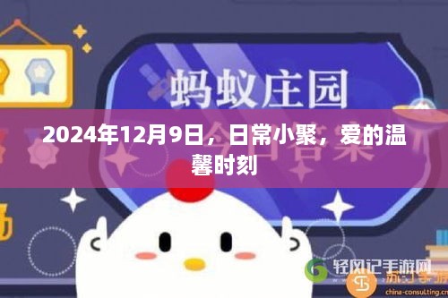 2024年12月9日，爱的温馨日常小聚时刻