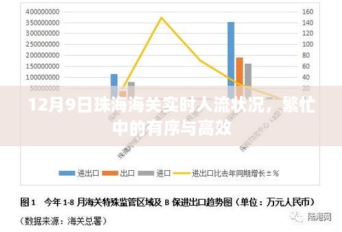 12月9日珠海海关实时人流状况，繁忙中的有序与高效