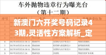 2024年12月10日 第95页