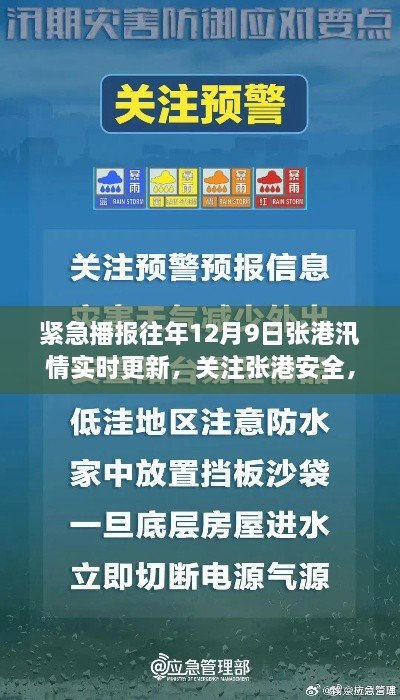 『紧急播报，张港汛情实时更新，关注安全动态』