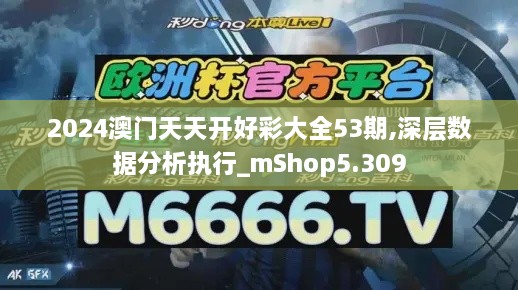 2024澳门天天开好彩大全53期,深层数据分析执行_mShop5.309