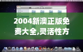 2004新澳正版免费大全,灵活性方案实施评估_macOS1.367