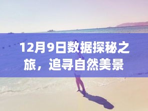 12月9日数据之旅，探寻自然美景，寻觅内心宁静