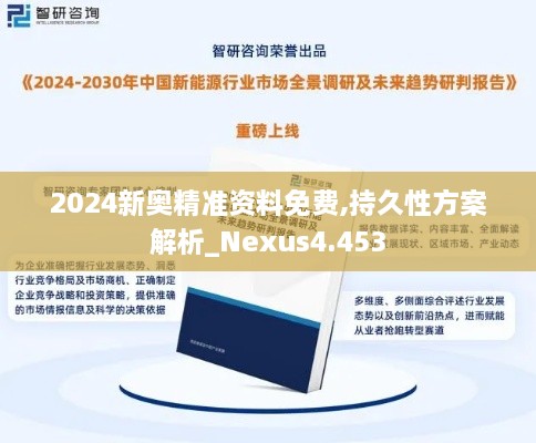 2024新奥精准资料免费,持久性方案解析_Nexus4.453