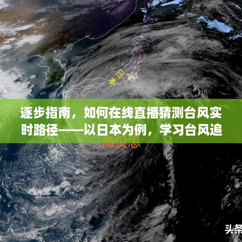 在线直播猜测台风实时路径指南，以日本为例，学习台风追踪与直播技巧