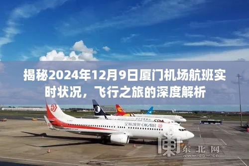 揭秘厦门机场航班实时状况深度解析，飞行之旅在2024年12月9日的精彩呈现