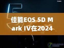 佳能EOS 5D Mark IV实时拍摄体验与性能解析，用户洞察分享会