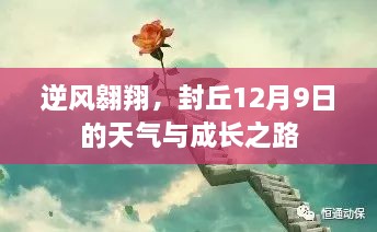 逆风翱翔，封丘成长之路与天气纪实（12月9日）