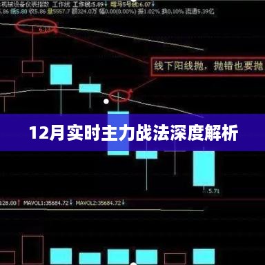 2024年12月10日 第51页