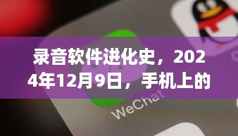 2024年12月10日 第47页