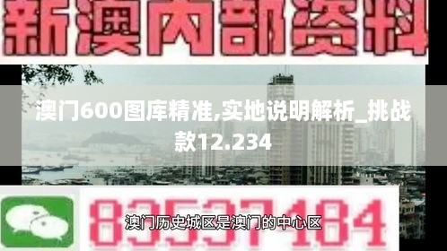 澳门600图库精准,实地说明解析_挑战款12.234