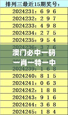 澳门必中一码一肖一特一中,高效解析方法_XR10.465