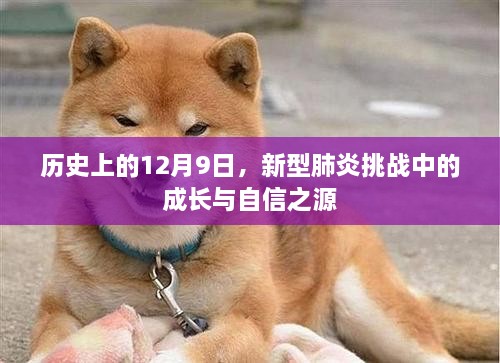 12月9日历史节点，新型肺炎挑战中的成长与自信之源的崛起