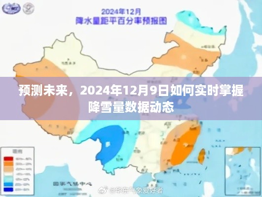 实时掌握未来降雪量数据动态，预测未来的关键至2024年12月9日