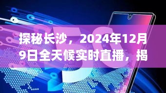 2024年12月10日 第32页