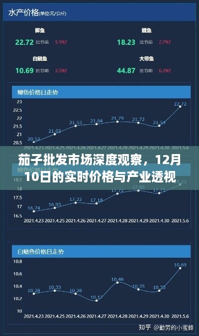 茄子批发市场深度观察，实时价格与产业透视（12月10日）