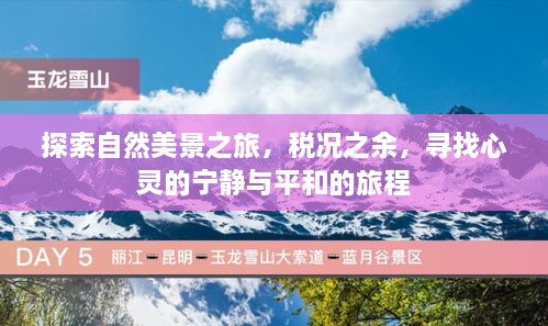 自然探索之旅，税隙间的心灵宁静寻觅