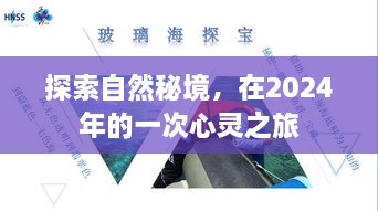 心灵之旅，探索自然秘境的奇幻之旅（2024年）