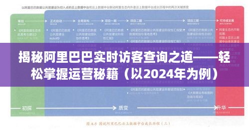 揭秘阿里巴巴实时访客查询秘籍，掌握运营秘籍（以2024年为例）