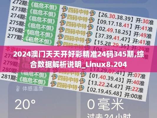 2024澳门天天开好彩精准24码345期,综合数据解析说明_Linux8.204