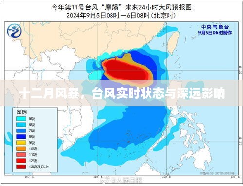 2024年12月10日 第11页