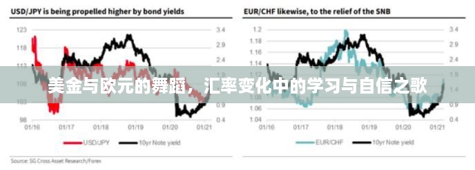 美金与欧元的汇率舞蹈，学习中的自信之歌与策略探索