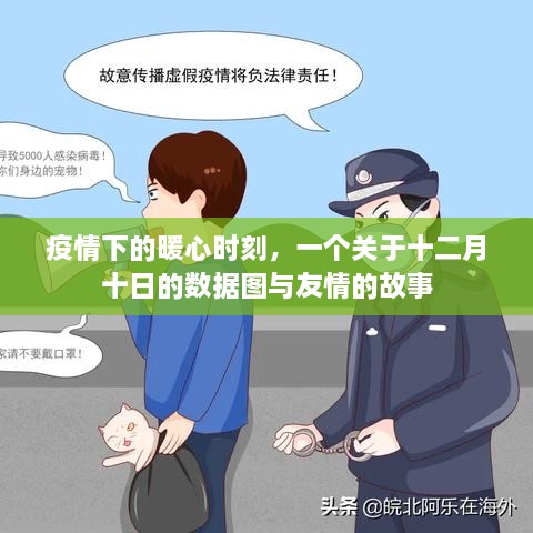 疫情下的暖心时刻，数据图背后的友情故事，十二月十日的温暖记忆