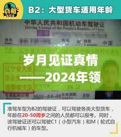 岁月见证真情，探寻实时查询背后的故事——关于2024年领证年龄的记录